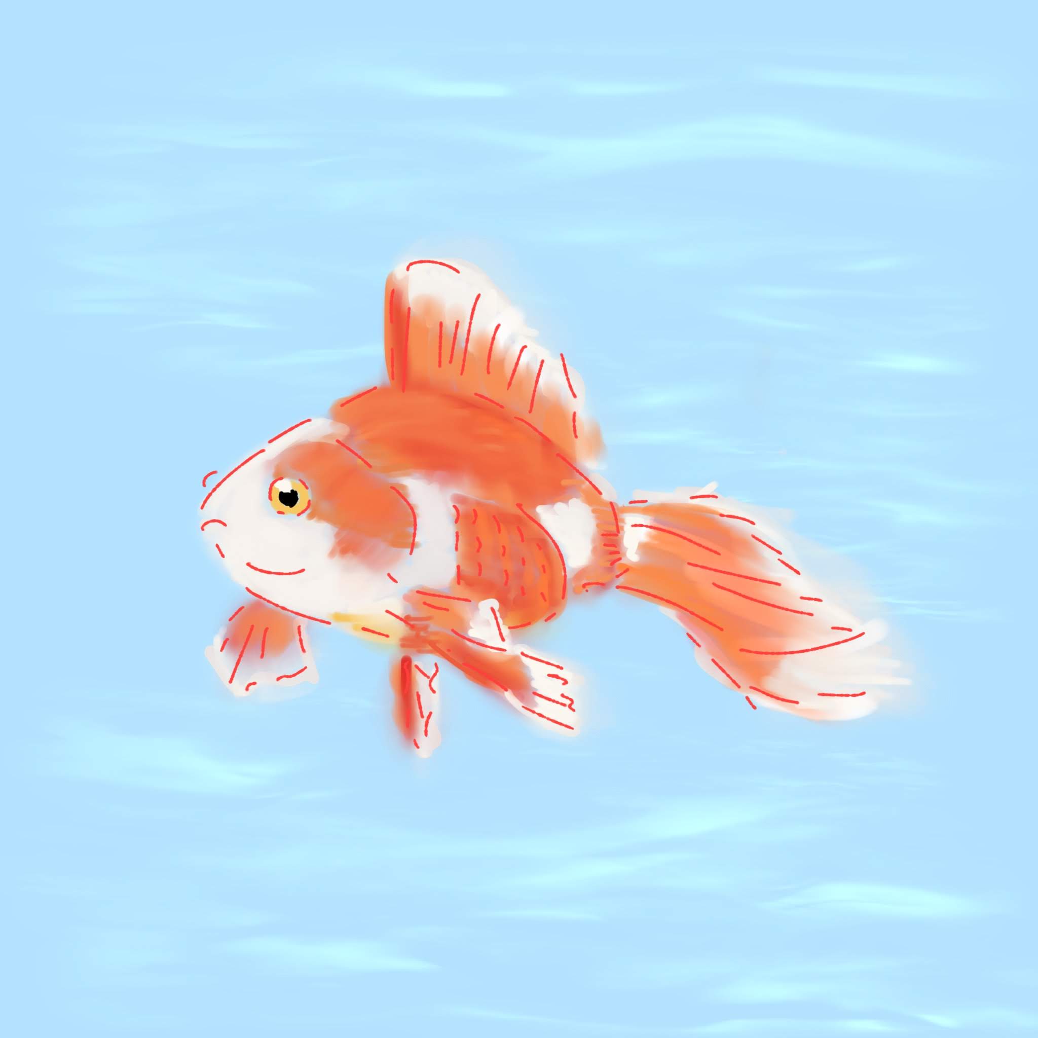 iPad Pro Work#32 ゆらゆら泳ぐ金魚
